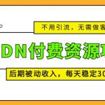 （5137期）CNDN付费资源项目，不用引流，无需做客服，后期被动收入，每天稳定300+