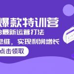 （5121期）2023淘系爆款特训营，2023最新运营打法，学习爆款思维，实现利润增长