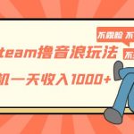 （5110期）抖音Steam撸音浪玩法 挂机一天收入1000+不露脸 不说话 不封号 社恐人群福音