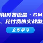 （5106期）教你利用付费流量·GMV放大，微付费、纯付费的实战型打法！