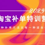 （5095期）2023最新淘宝补单特训营，8种补单方法总有一种适合你！