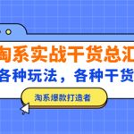 （5067期）淘系实战干货总汇：各种玩法，各种干货，淘系爆款打造者！