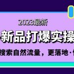 （5036期）拼多多-新品打爆实操流程：轻松快速拉搜索自然流量，更落地·快速提升!