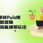 （5027期）视频号·带货Puls班，视频号底层逻辑，起号自然流鱼塘等玩法