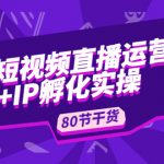 （4973期）短视频直播运营+IP孵化实战：80节干货实操分享