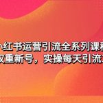 （4950期）小红书运营引流全系列课程：教你养高权重新号，实操每天引流100精准粉