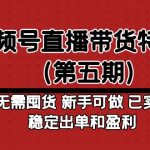 （4945期）视频号直播带货特训营（第五期）无需囤货 新手可做 已实现稳定出单和盈利