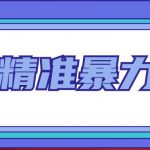 （4941期）闲鱼精准暴力引流全系列课程，每天被动精准引流200+客源技术（8节视频课）