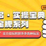 （4934期）拼多多·实操宝典：金牌系列“小白到高手”带你全方位玩转拼多多各种玩法