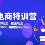 （4921期）美团电商特训营：美团·店群玩法，无脑铺货月产出6000-15000+精细化月产2w+