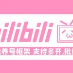 （4919期）Bilibili多功能养号框架，支持多开，批量抽奖！!