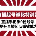 （4864期）直播起号孵化特训营：直播手把手0粉起号  提升直播团队赚钱能力