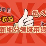 （4827期）2023新细分领域带货计划：单号单日1000+收益不难，每人可操作3-5个账号