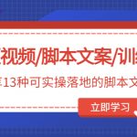 （4807期）短视频/脚本文案/训练营：分享13种可实操落地的脚本文案架构(无中创水印)