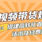 （4796期）2023短视频带货爆单 搭建高转化直播间 话术及付费技巧(无中创水印)