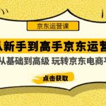 （4792期）从新手到高手京东运营培训：从基础到高级 玩转京东电商平台(无中创水印)