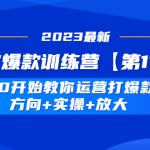 （4784期）淘宝爆款训练营【第11期】 从0开始教你运营打爆款，方向+实操+放大