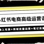 （4638期）小红书电商高级运营课程：基础入驻篇+商城流量运营+笔记流量运营