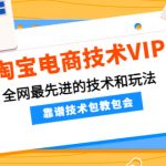 （4360期）淘宝电商技术VIP，全网最先进的技术和玩法，靠谱技术包教包会（更新115）