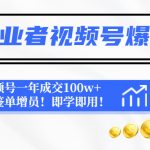 （4634期）保险从业者视频号爆款攻略：利用视频号一年成交100w+保费，签单增员！