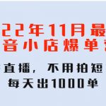 （4356期）2022年11月最新抖音小店爆单训练营：无需直播，不用拍短视频，每天出1000单