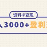 （4576期）资料IP变现，能稳定日赚3000起的持续性盈利玩法