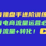 （4327期）抖音操盘手进阶训练课：抖音电商流量运营必学，提升流量+转化！