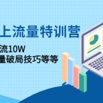 （4567期）2023线上流量特训营：包含暴力引流10W+中小卖家流量破局技巧等等