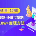 （4553期）小红书特训营（第10期）低门槛-可复制-小白可复制-独家月入10w+变现方法