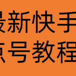 （4542期）最新快手点号教程，成功率高达百分之80（仅揭秘-自我保护）