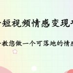 （4541期）抖音短视频情感变现项目：手把手教您做一个可落地的情感账号