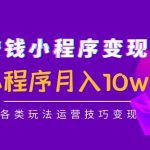 （4511期）抖音赚钱小程序变现训练营：小程序月入10w+各类玩法运营技巧变现