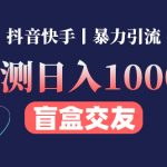 （4270期）亲测日收益1000+的交友盲盒副业丨有手就行的抖音快手暴力引流