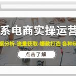 （4463期）淘系电商实操运营课：数据分析-流量获取-爆款打造 各种玩法（63节）