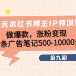 （4267期）28天小红书博主IP特训营《第9期》做爆款，涨粉变现 单条广告笔记500-10000