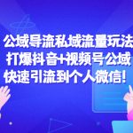 （4416期）公域导流私域流量玩法：打爆抖音+视频号公域，快速引流到个人微信！