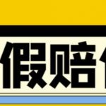 （4387期）全平台打假/吃货/赔付/假一赔十,日入500的案例解析【详细文档教程】