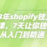 （4230期）2023年shopify独立站运营课，7天让你独立站从入门到精通