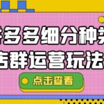 （4373期）拼多多细分种类店群运营玩法3.0，11月最新玩法，小白也可以操作