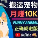 （4221期）搬运TIKTOK视频到YouTube，并进行二次创作，月赚1万美元以上