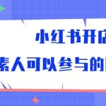 小红书开店，素人可以参与的风口（39节视频课程）