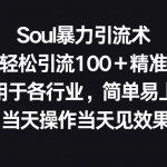 Soul暴力引流术，一天轻松引流100＋精准流量，适用于各行业，简单易上手！