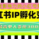 （4612期）某收费培训-小红书IP孵化变现：做有影响力的小红书博主，最高单人变现300w+