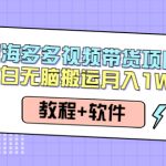 （4343期）人人都能操作的蓝海多多视频带货项目 小白无脑搬运月入10000+（教程+软件）