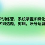 （4688期）自然流IP训练营，系统掌握IP孵化全流程，也能学到选题，剪辑，账号运营经验