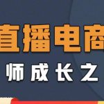 （4200期）直播电商高手成长之路：教你成为直播电商大师，玩转四大板块（25节）