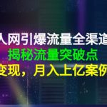 （4173期）天地人网引爆流量全渠道增长：揭秘流量突然破点，流量变现，月入上亿案例