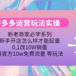 （4160期）拼多多运营玩法实操，0.1改10W销量，薅官方10w免费流量 等玩法！