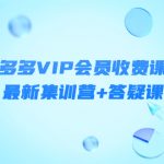 （4127期）某社群·拼多多VIP会员收费课程，最新集训营+答疑课-价值3299元