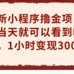 最新小程序撸金项目，当天就可以看到收益，1小时变现300+【揭秘】